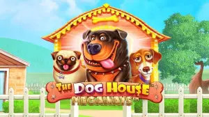 The Dog House